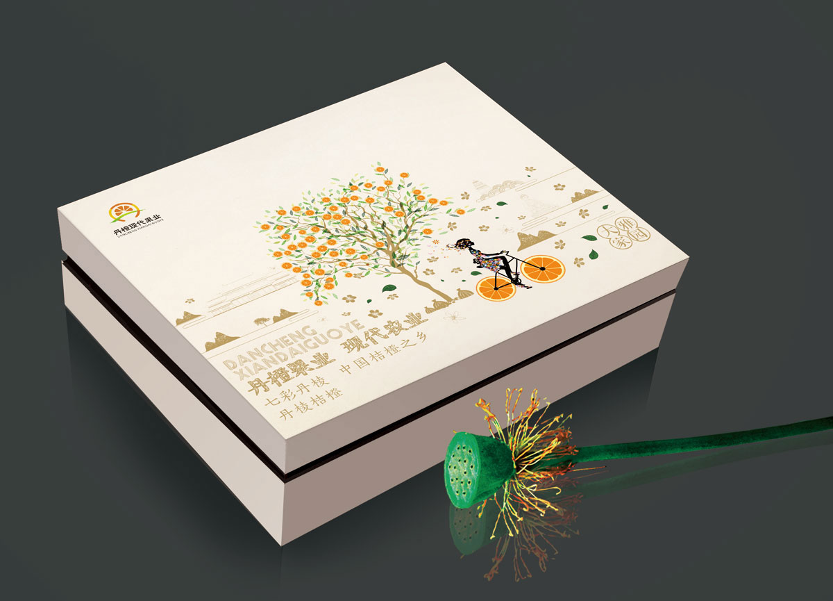 四川丹橙现代果业有限公司委托龙腾设计官网和水果包装礼盒