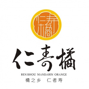 眉山在升广告有限公司委托龙腾设计公司VI