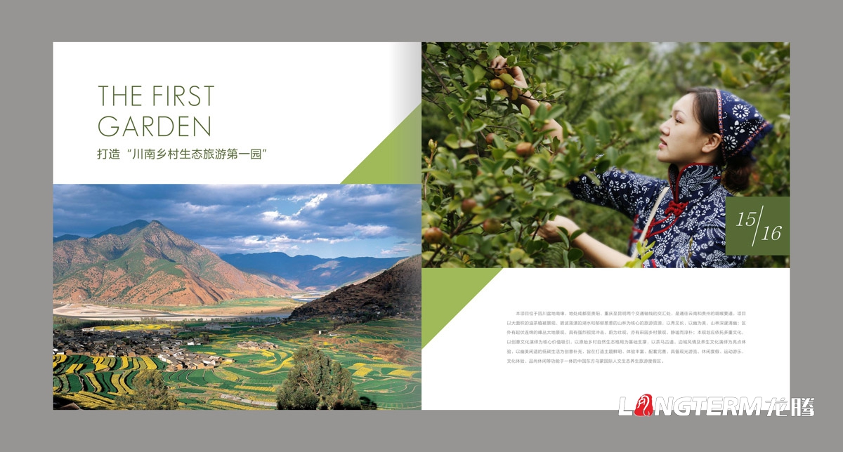 东方乌蒙企业形象画册设计|茶油产业基地宣传册设计|乡村生态旅游宣传画册设计