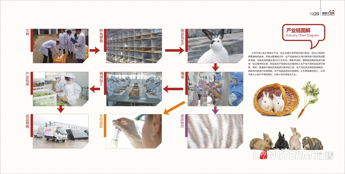 品山兔业形象画册设计|自贡市企业宣传册设计|鲜兔冷吃兔缺牙巴兔九刀兔休闲食品宣传画册设计