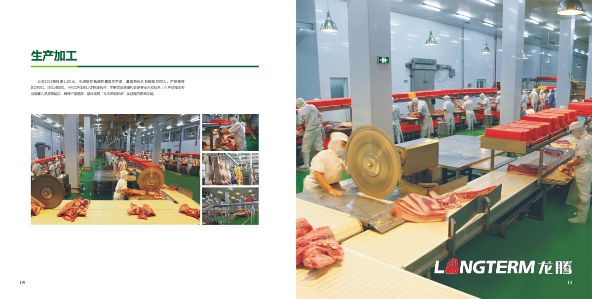 四川省井研食品有限责任公司画册设计|乐山市食品工业园企业形象宣传册设计