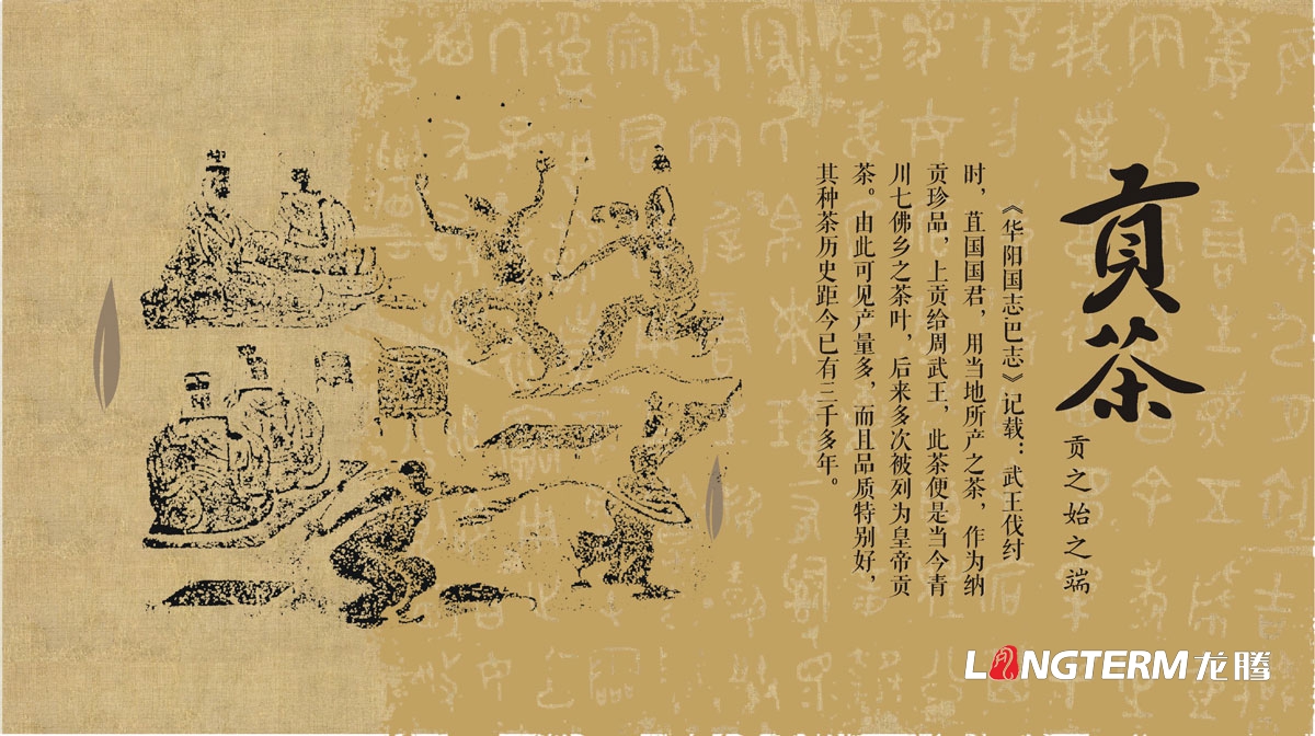 七佛贡茶茶叶LOGO设计|茶叶核心文化溯源辅助图例字体视觉形象设计