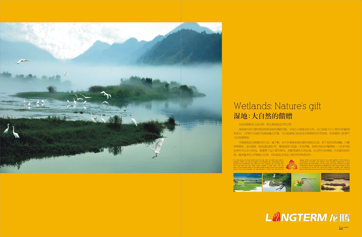 邛海湾国际酒店宣传画册设计|休闲度假主题酒店形象宣传册设计|国际大酒店大饭店楼书物料宣传设计