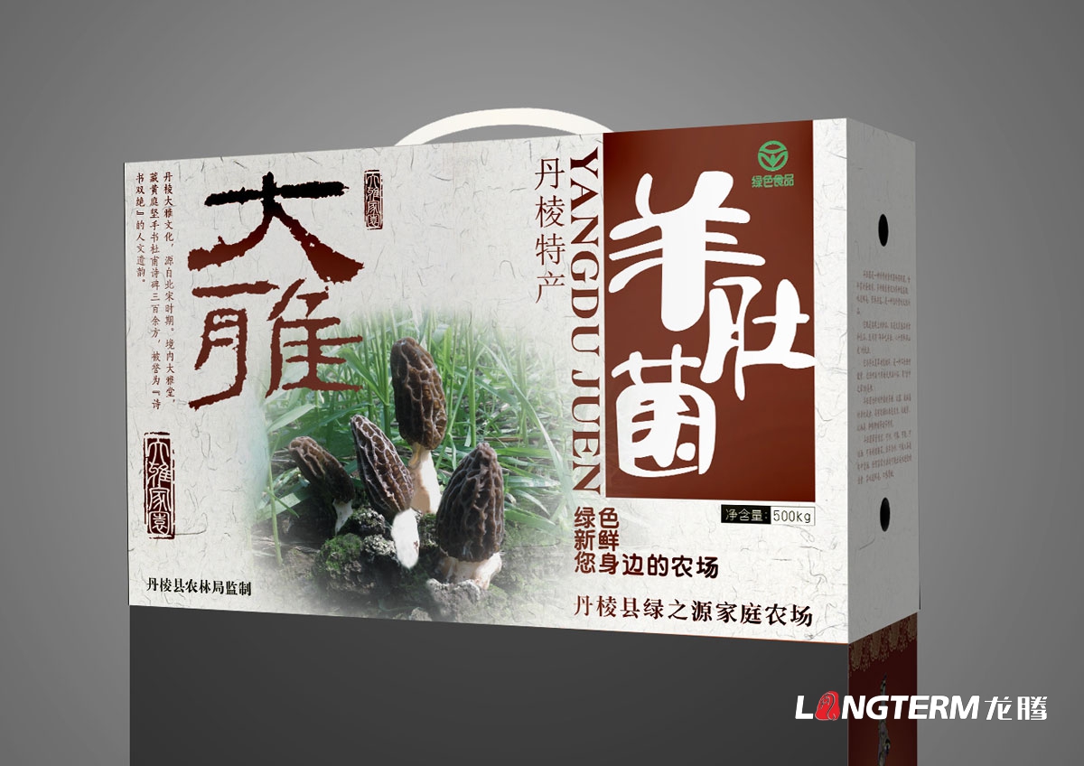 丹棱大雅羊肚菌包装设计|养生保健品山珍菌类包装礼盒设计效果图|丹棱特色产品菌类包装