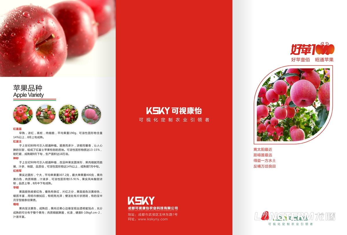 成都苹果品牌营销策划推广宣传设计|水果品牌形象VI设计商标标志LOGO设计|苹果品牌运营宣传推广公司