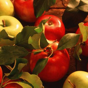 水果品牌策划公司：影响水果行业发展的要素