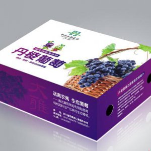 食品包装创意设计的三大基本要求