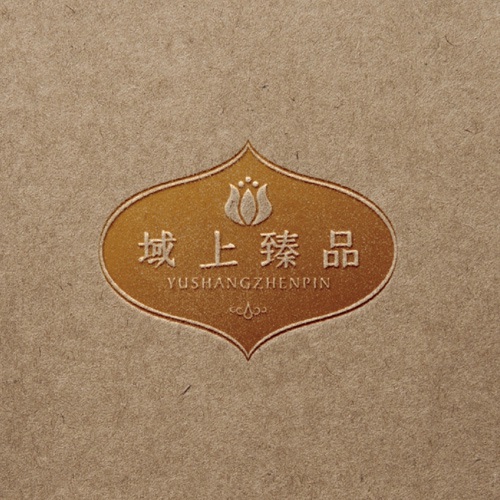 VI设计-域上臻品品牌logo及vi形象设计_成都企业品牌标志商标创意视觉提升方案_品牌视觉符号提炼及字体设计