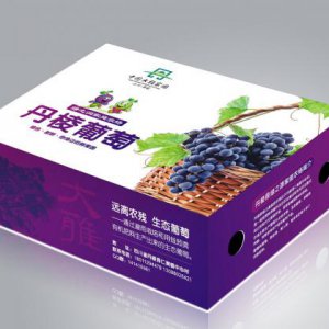 红酒包装设计怎样更吸引大家眼球？