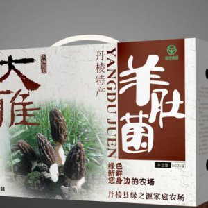 营销策划能够解决企业哪些问题？