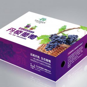 食品包装设计应该怎么设计才能吸引消费者？
