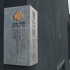 龙腾分享营销策划对企业有什么作用？