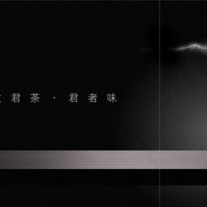 品牌设计在定方案时要做些什么？